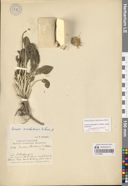 LE 01260946