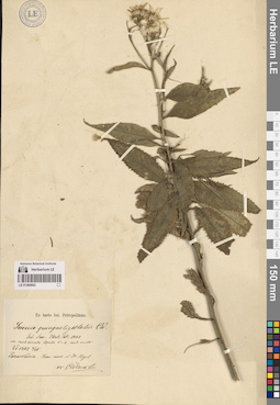 LE 01260952