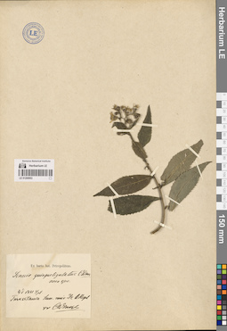 LE 01260953