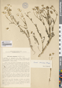 LE 01260960