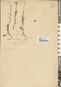 LE 01261009