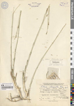 LE 01261054