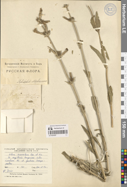 LE 01261057