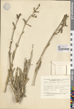 LE 01261058