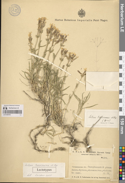 LE 01261072