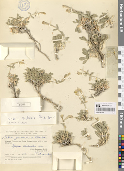LE 01261100