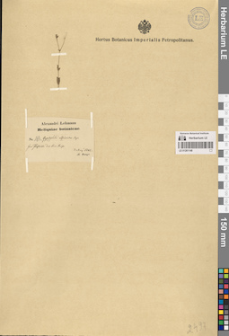 LE 01261148