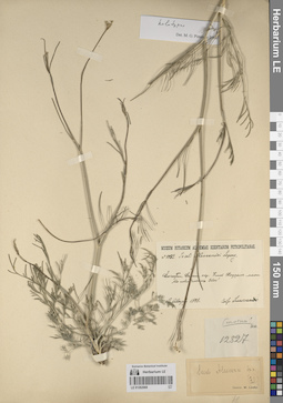 LE 01262068