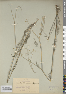 LE 01262069
