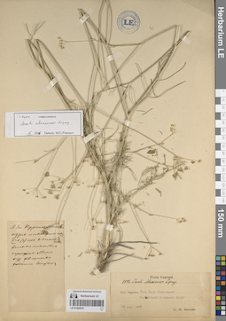 LE 01262070