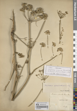 LE 01262014