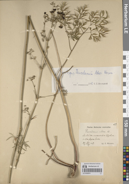 LE 01262019
