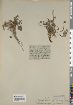 LE 01262080