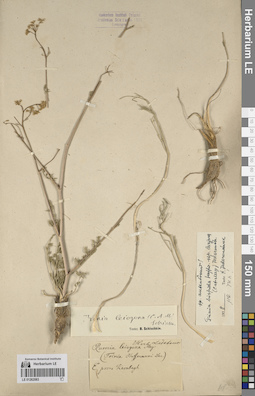 LE 01262083