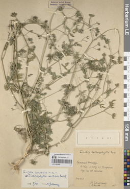 LE 01262089