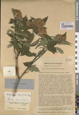 LE 01262097