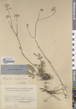 LE 01262041