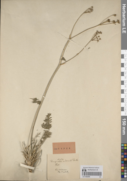 LE 01262044