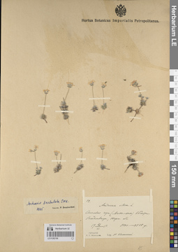 LE 01262106
