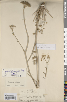 LE 01262047