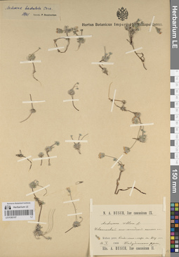 LE 01262107