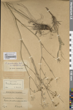 LE 01262049