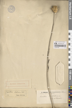 LE 01261159