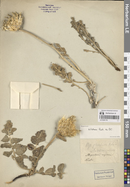 LE 01261179