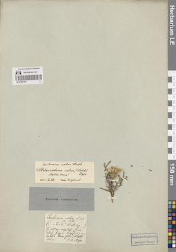LE 01261181