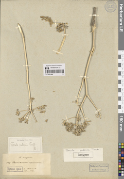 LE 00051884