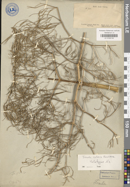 LE 01032130