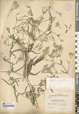 LE 01261193