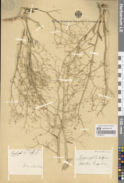 LE 01261211