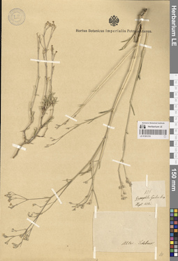 LE 01261219