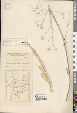 LE 01261237