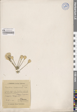 LE 01261319