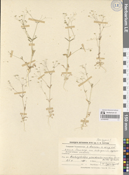 LE 01261419