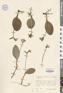 LE 01032413