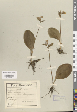 LE 01032419