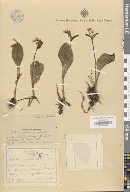 LE 01032431
