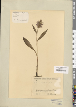 LE 01032440