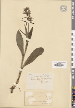LE 01032453