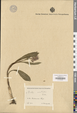 LE 01032455