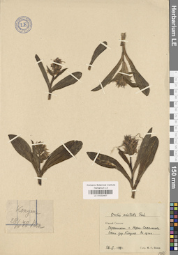 LE 01032457
