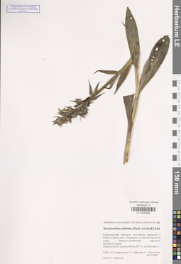 LE 01032464