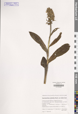 LE 01032466