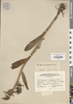 LE 01032467