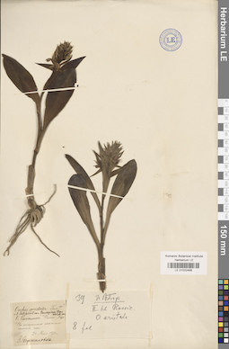 LE 01032468