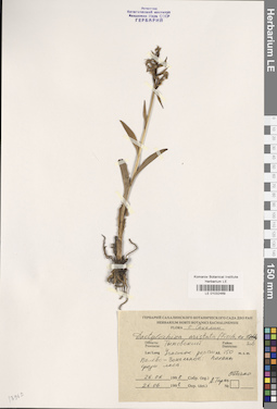 LE 01032469