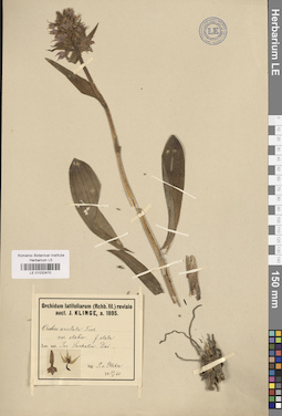 LE 01032470